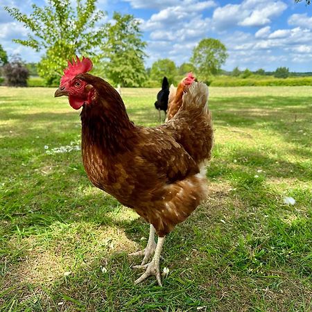 Charming Hen Cottage Countryside Retreat Lincoln Newball Exterior foto