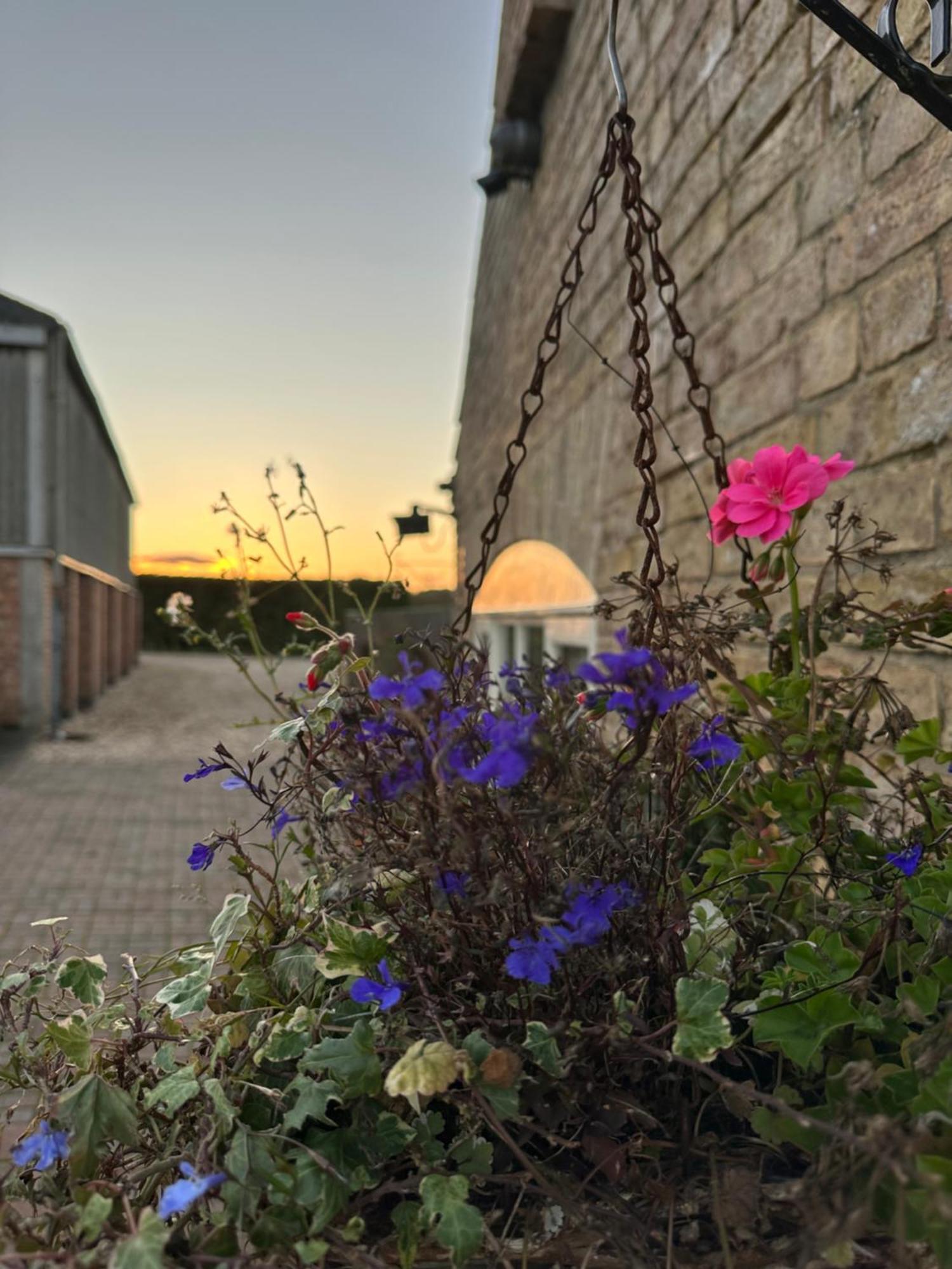 Charming Hen Cottage Countryside Retreat Lincoln Newball Exterior foto
